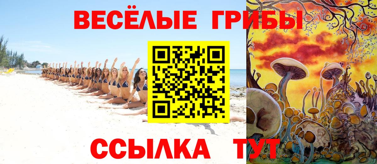 Бугульма  Псилоцибиновые грибы прущие грибы  Вход с VPN 