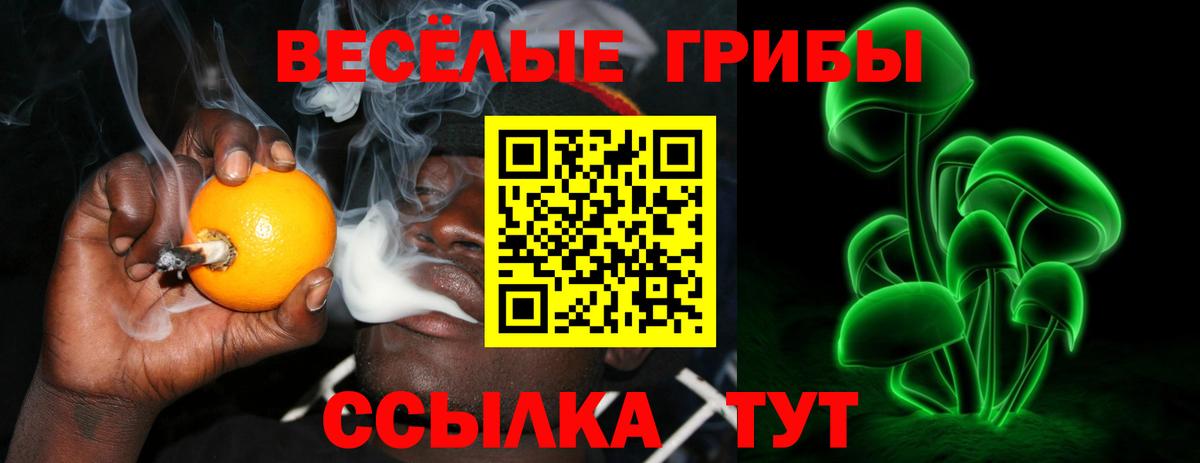Галлюциногенные грибы мицелий Бугульма